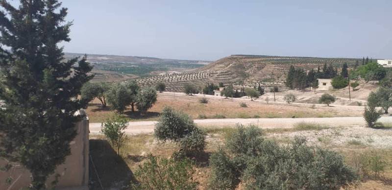 Image 8